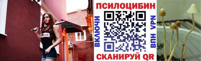 дарнет шоп Искитим Галлюциногенные грибы прущие грибы